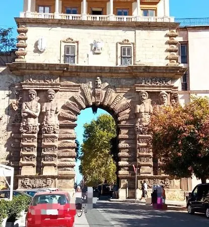 Biddizzi *